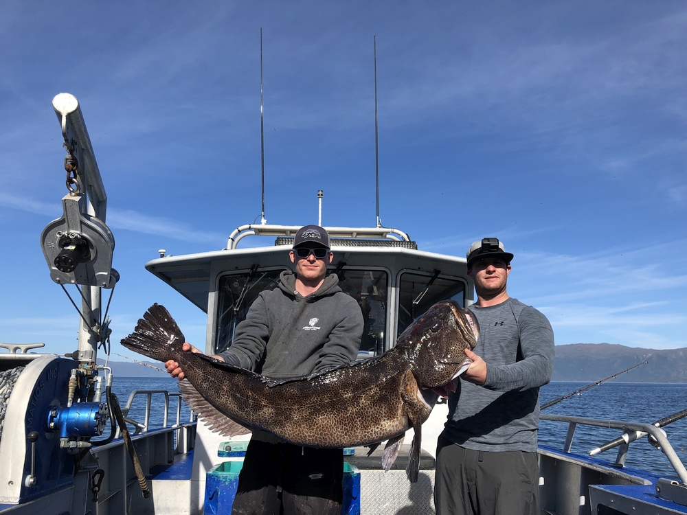 ROCKFISH / LINGCOD - Chinook Shores Lodge