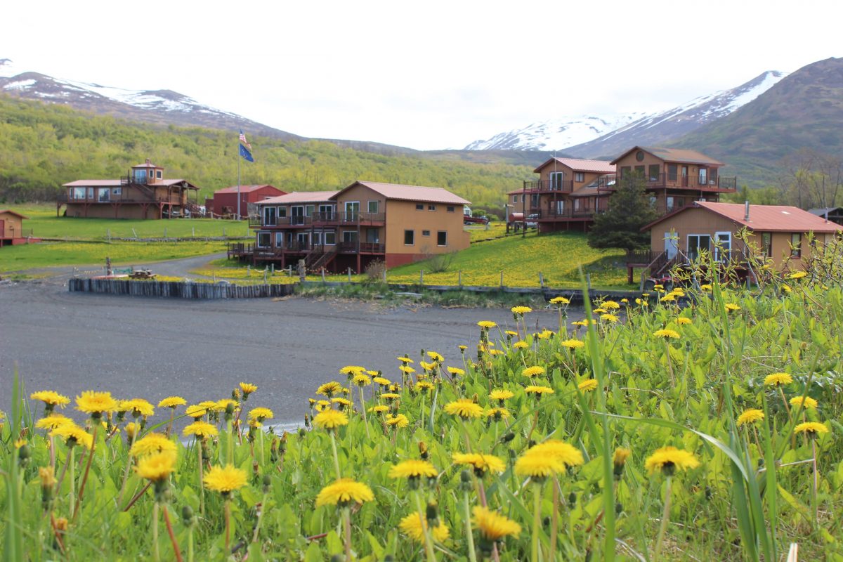 Larsen Bay Lodge NewsFeed