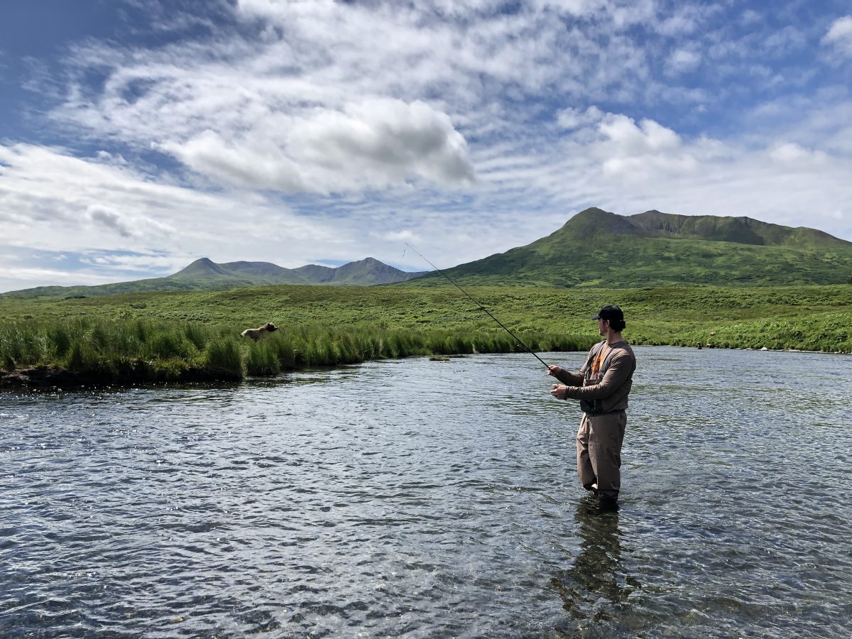 Fishing with Kodiak Brown Bears
