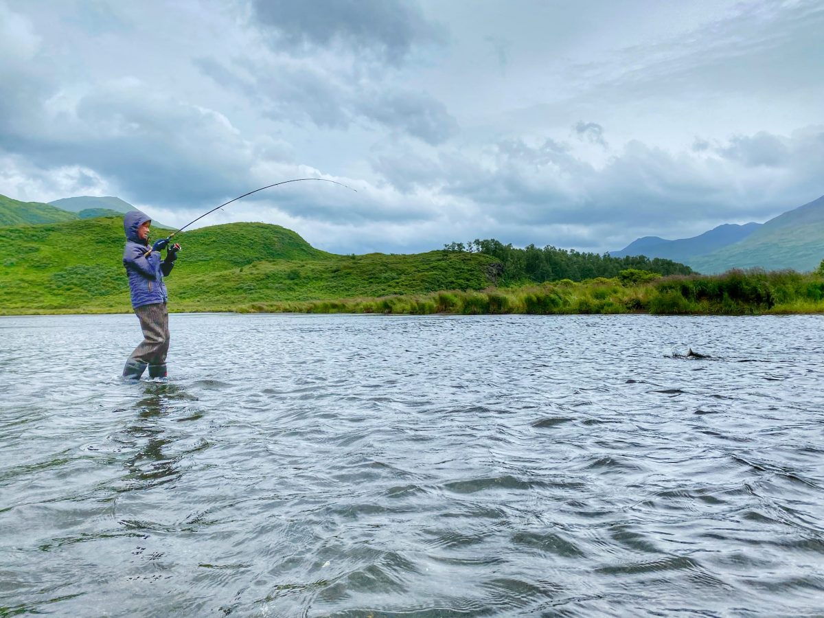 Great Day for Sockeye Salmon on the Freshwater…and Bears!