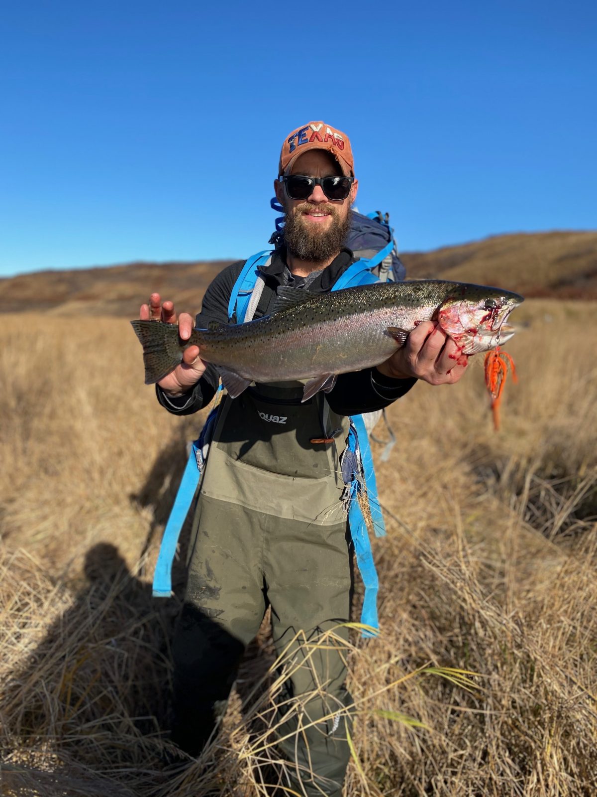 Steelhead!